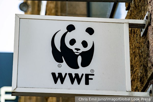   WWF   